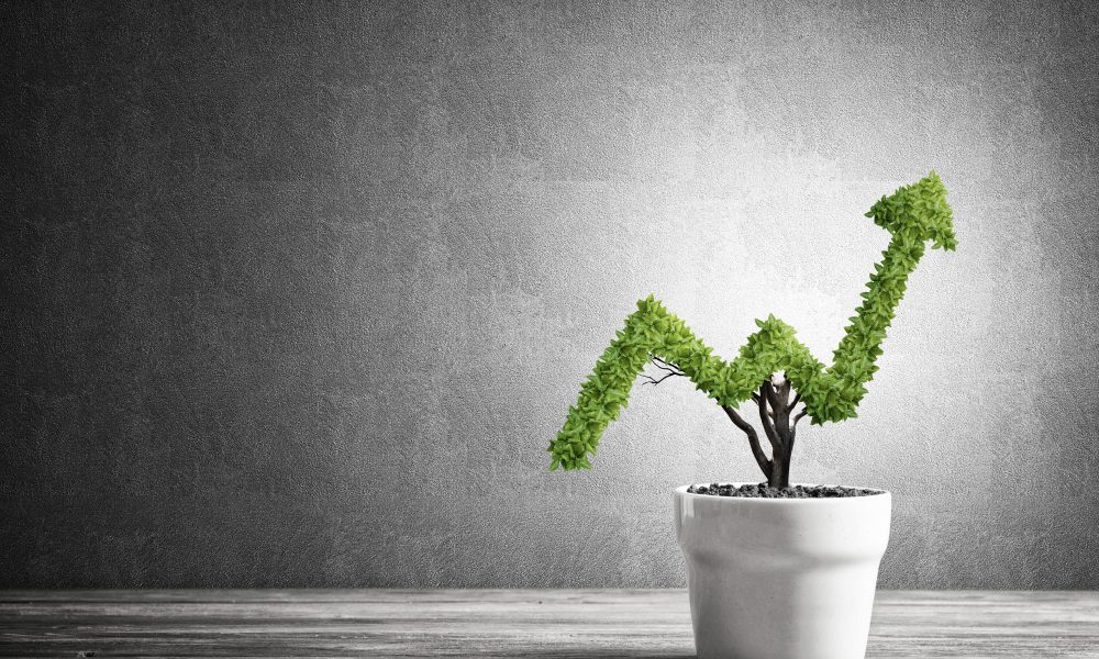 Business Profits - Chartered Accountant North West London