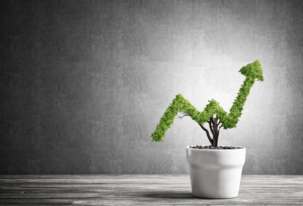 Business Profits - Chartered Accountant North West London