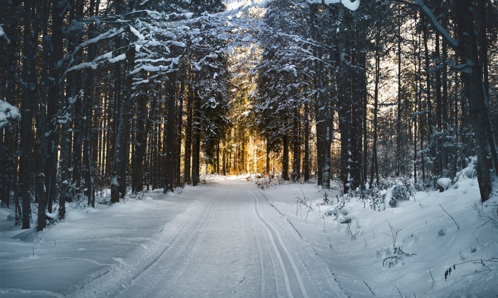 Winter Economy Plan