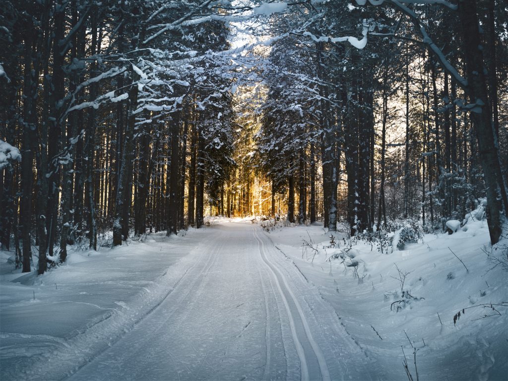 Winter Economy Plan