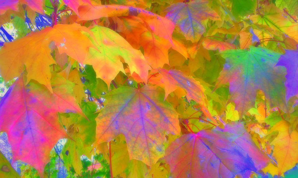 Autumn Statement 2022