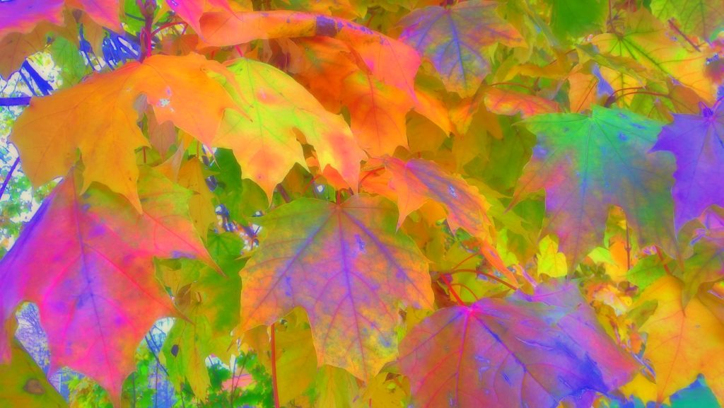 Autumn Statement 2022