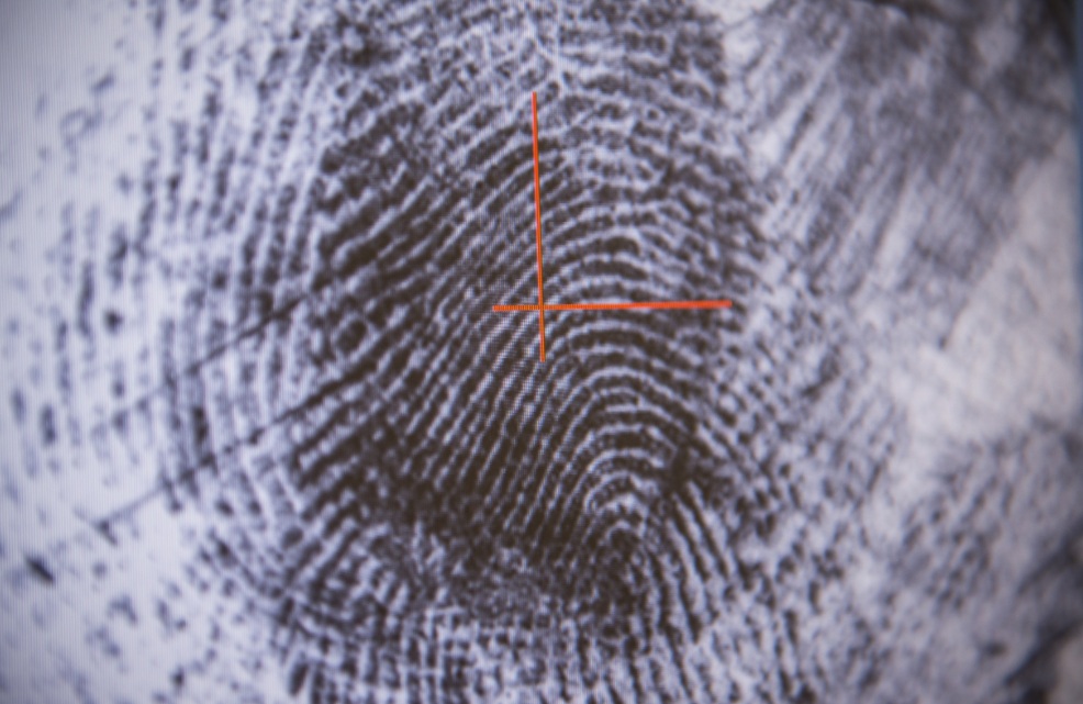 Identity Verification with Companies House